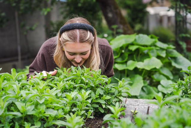 Junge Frau riecht an Kräutern im Garten