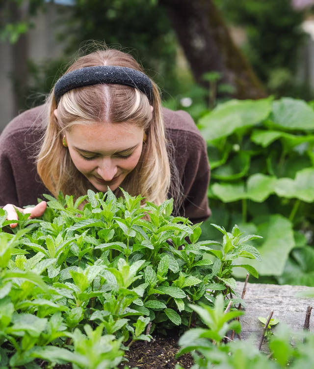 Genussvolle Momente im Kräutergarten Junge Frau riecht an Kräutern im Garten