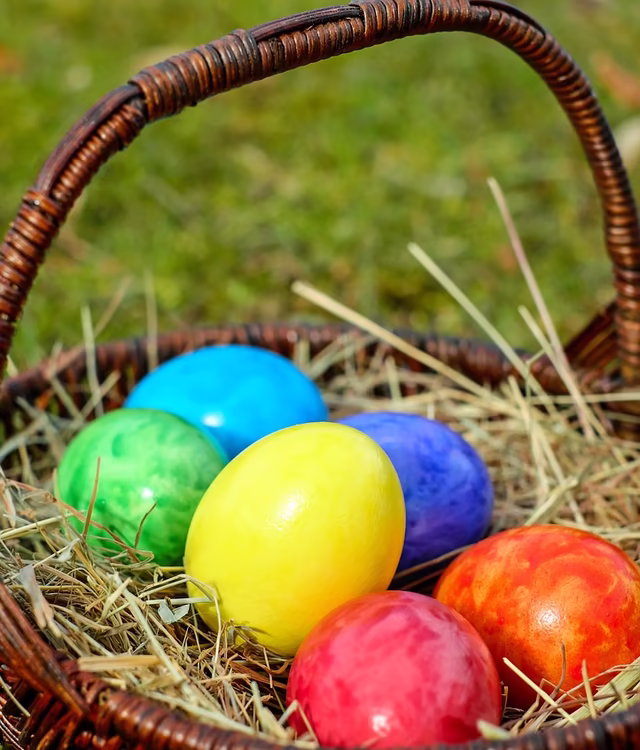 © Pixabay / Couleur