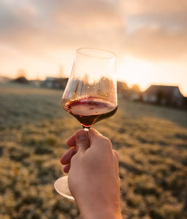 Hand mit Rotweinglas vor der Abendsonne im Weinberg