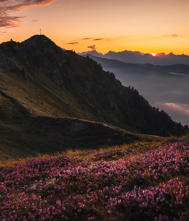 Hochgebirge im Abendrot © Zillertal Tourismus GmbH, Tom Klocker Hochgebirgs-Panorama im Abendrot