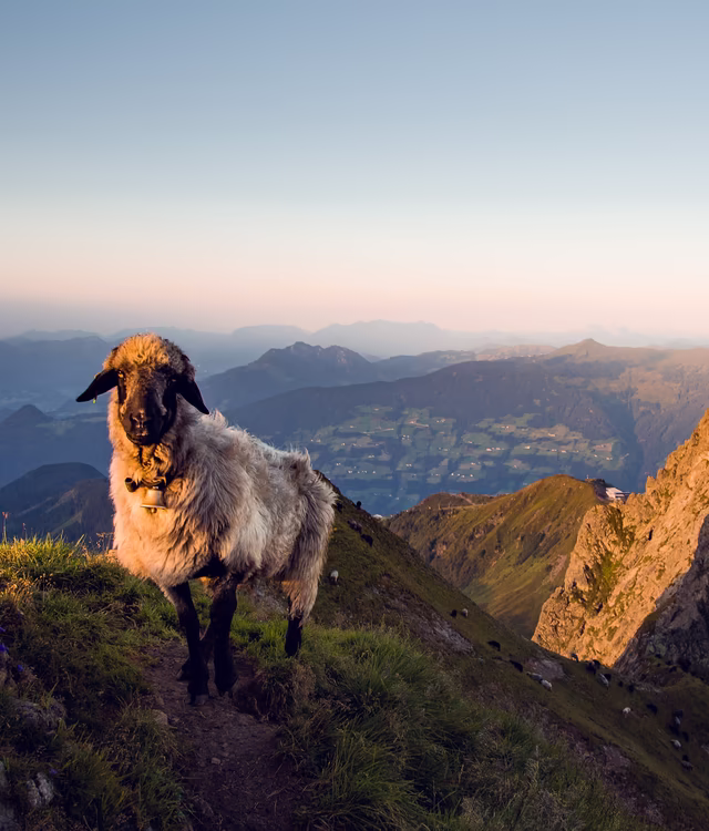 Bergschaft auf dem Grat eines Hochgebirgsweges blickt direkt in die Kamera