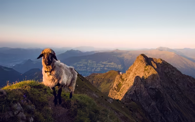 Bergschaft auf dem Grat eines Hochgebirgsweges blickt direkt in die Kamera